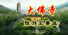 肏骚屄空姐AV中国浙江-新昌大佛寺旅游风景区